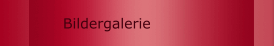  Bildergalerie